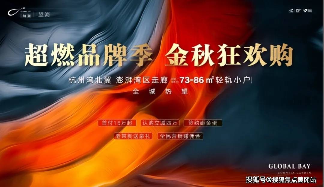 2025新澳开奖资料大全，解析、解释与落实的精选解读