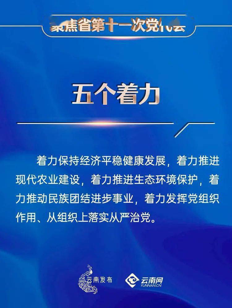 澳门一码一肖一特一中资料，释义、解释与落实的实用指南