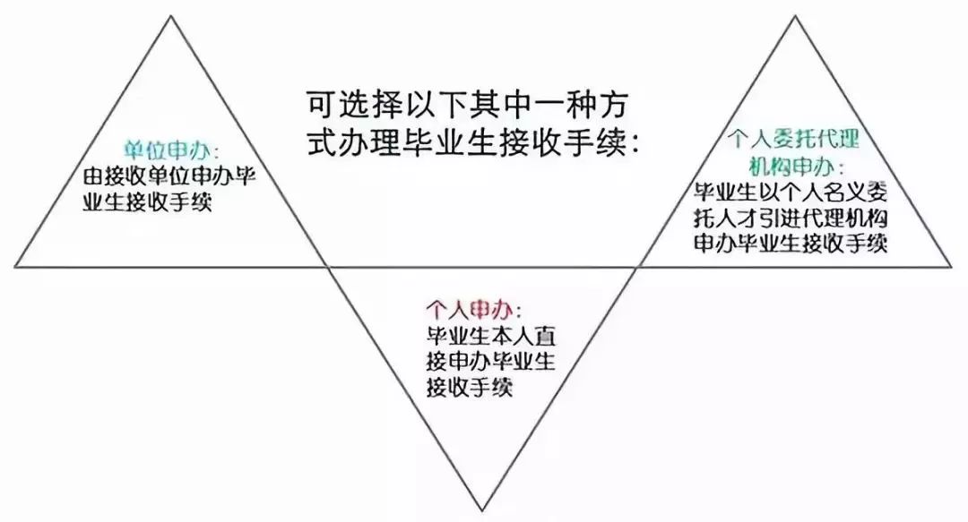 澳门三码三码精准，深度解析与实际应用